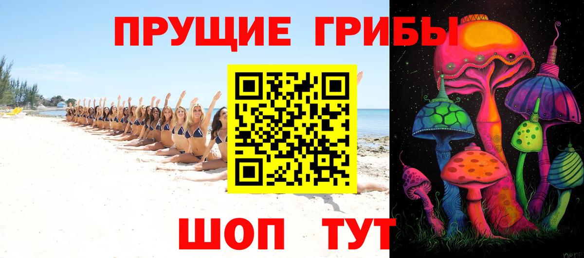Галлюциногенные грибы прущие грибы  Вход с VPN  Тулун 